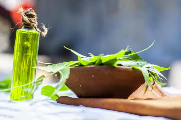 neem leaves and a prepared oil