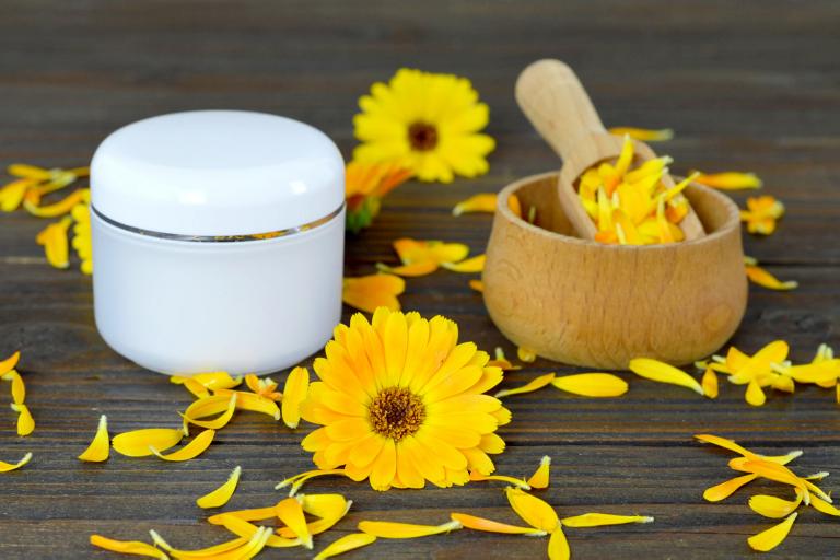 Herbal calendula cream on wooden background